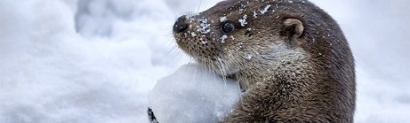 Top Ten Ways to Make Your March Break Fun