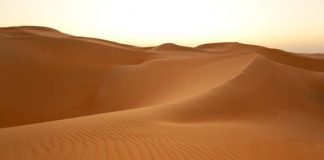africa desert sand