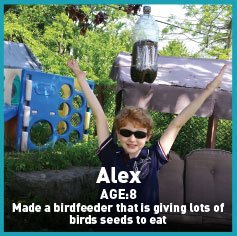 alex bird feeder missions