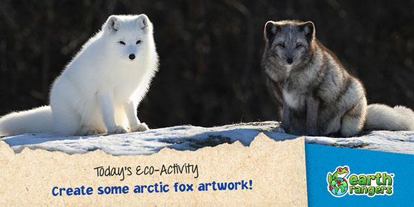 Eco-Activity: Create Some Arctic Fox Artwork! - Where kids go to save  animals!