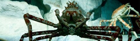 Top Ten Big Scary Looking Animals - Where kids go to save animals! Top Ten Big Scary Looking Animals - Where kids go to save animals!