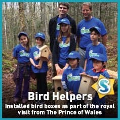 Bird Helpers
