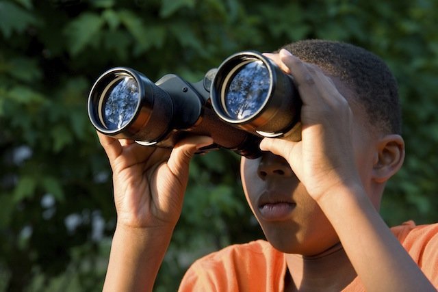 boy bird watching