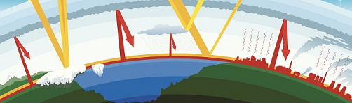 Climate Change 101: The Basics of Biodiversity