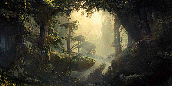 Fangorn Forest