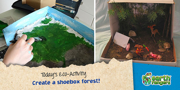 Eco-Activity: Create a shoebox forest! - Where kids go to save animals!