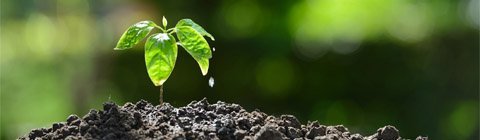 Preparing for the effects of climate change