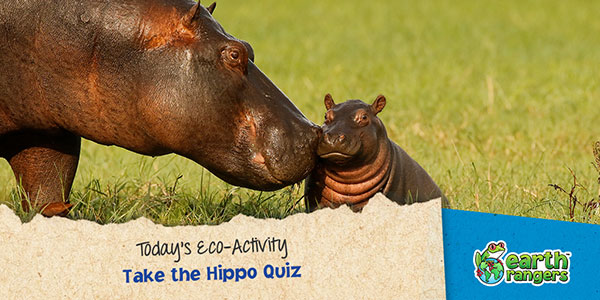 Eco-Activity: Take the Hippo quiz - Where kids go to save animals!