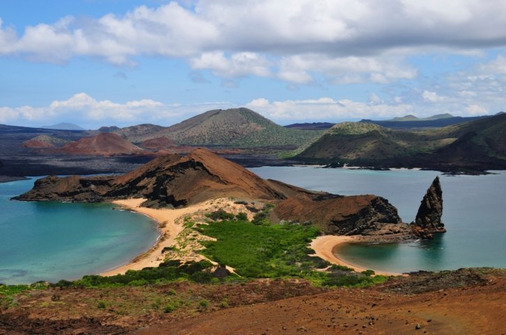 Island Plants at Risk
