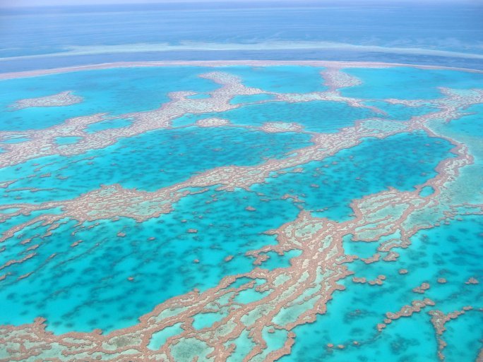 The Great Barrier Reef is in Trouble! - Earth Rangers