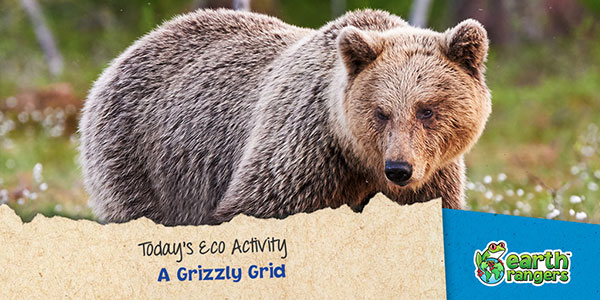 grizzly bear habitat for kids