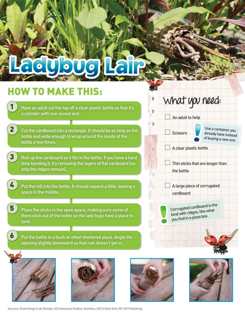 Ladybug Lair Earth Rangers Where Kids Go To Save Animals Ladybug Lair Earth Rangers Where Kids Go To Save Animals