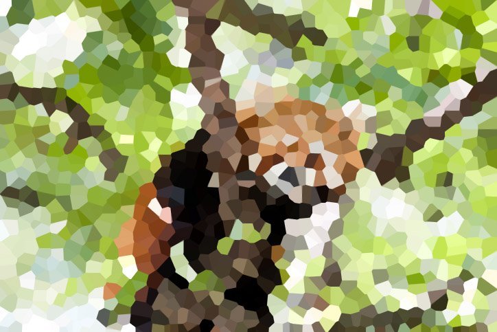 beholder kredsløb tone Pixel Puzzler: Guess the Animal, Part 1 | Earth Rangers: Where kids go to  save animals!