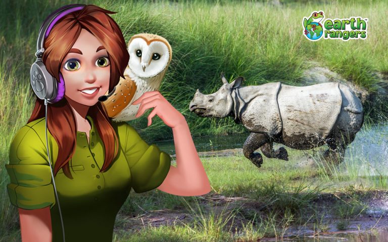 Podcast: Dreamy Foxes and the World’s Fattest Unicorn
