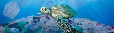 Let’s Help Clean up Our Oceans – Using STEM!