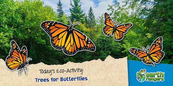 Trees for Butterflies - Where kids go to save animals!