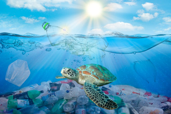 turtle-with-plastic-pollution