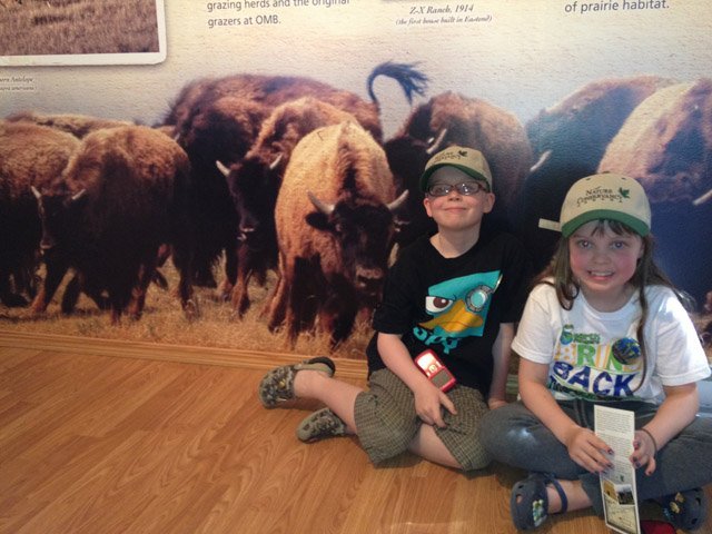 bison, kids